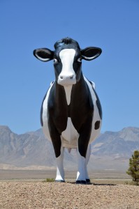 Cow in Vegas