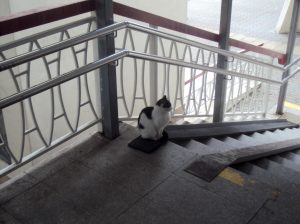 Isolation